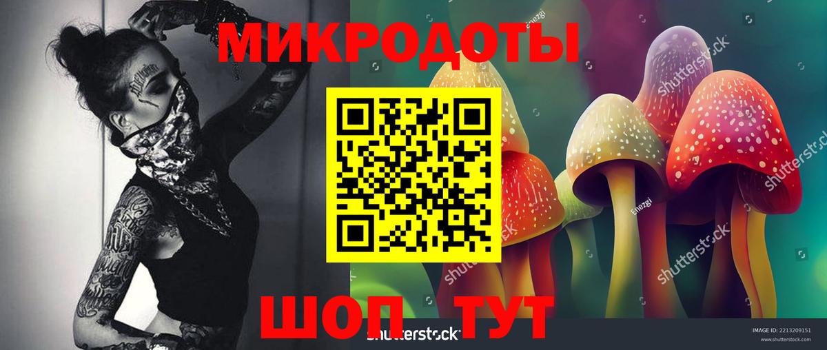 Керчь  Псилоцибиновые грибы GOLDEN TEACHER  Вход с VPN  Галлюциногенные грибы Psilocybe 